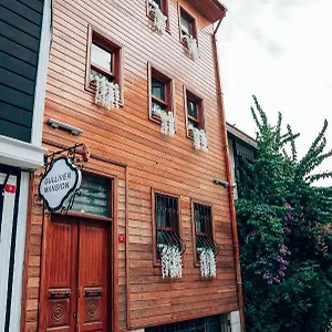 Gulliver Mansion Hotel Provincia di Istanbul