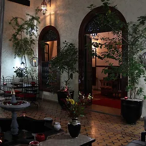Jomana Riad Marrakesh